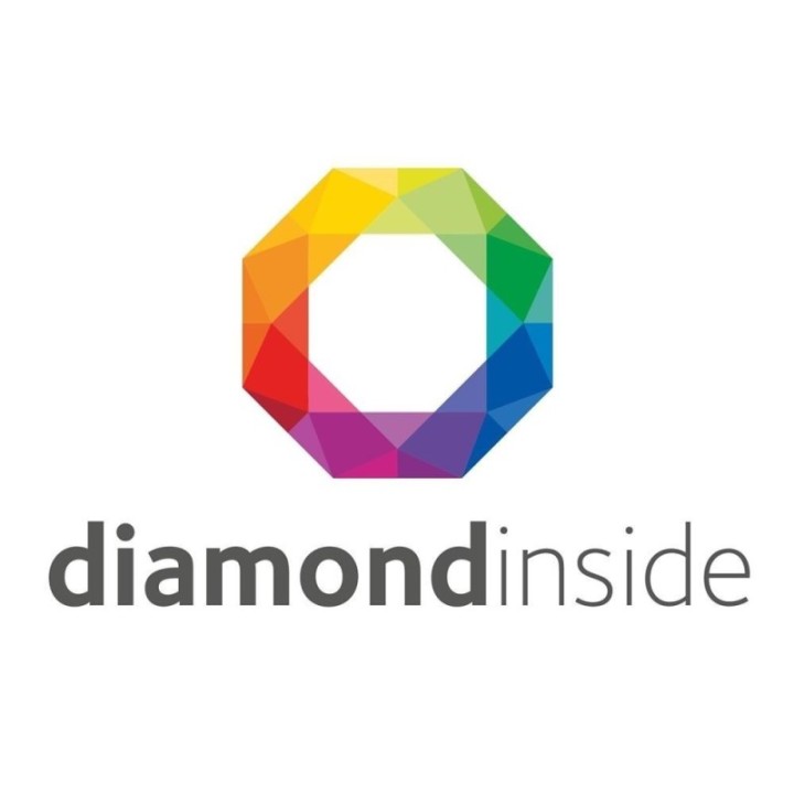 EUREKA 55 MM DIAMOND INSIDE BURRS - 3