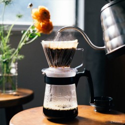 hario pegasus 02 – dripper para café de filtro 2-4 tazas