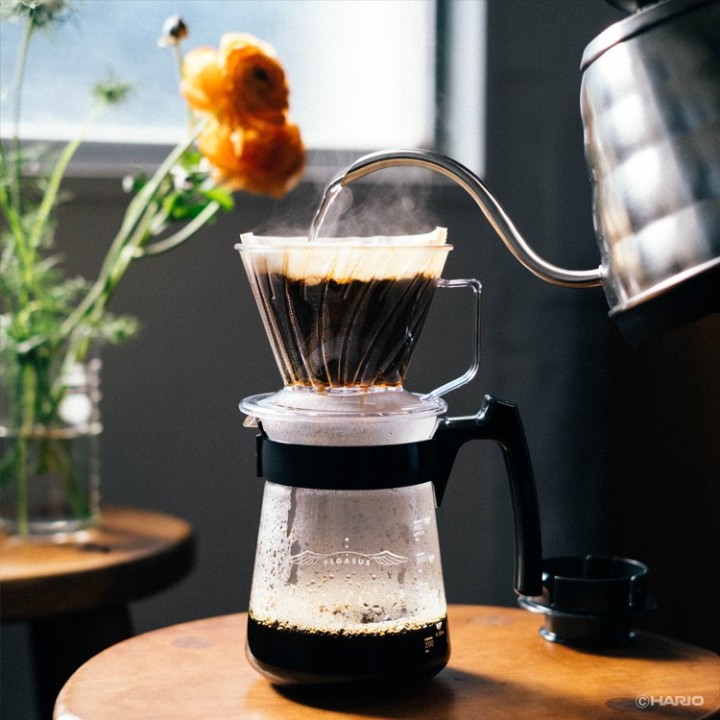 HARIO DRIPPER PEGASUS 02 - 5