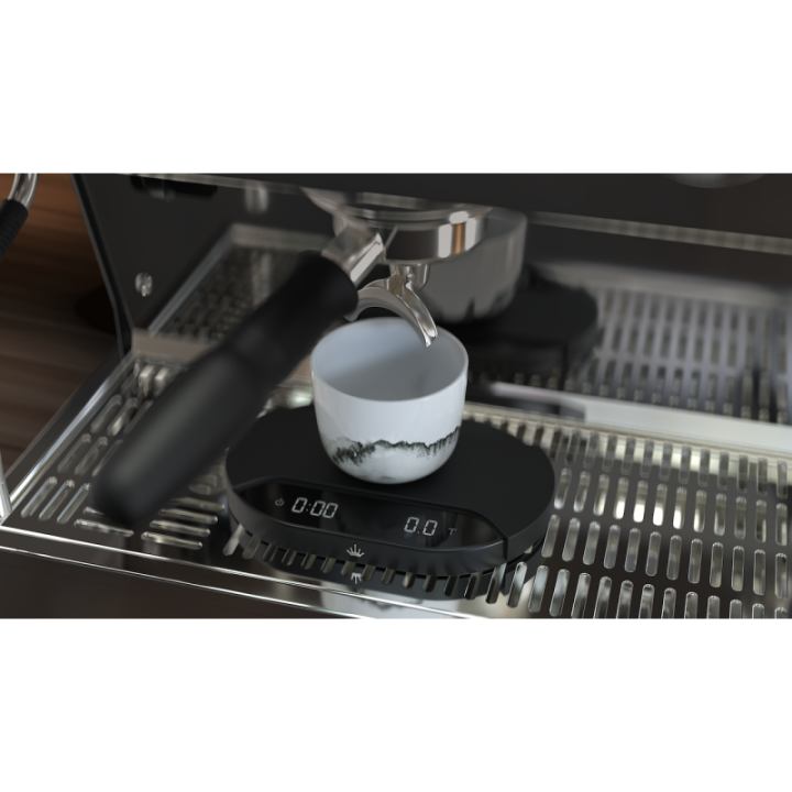 MAHLKONIG SYNC SCALE - 12
