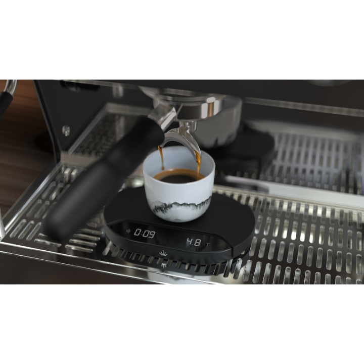 MAHLKONIG SYNC SCALE - 13